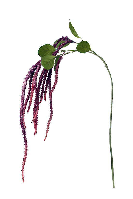 AMARANTHUS SPRAY - BURGUNDY