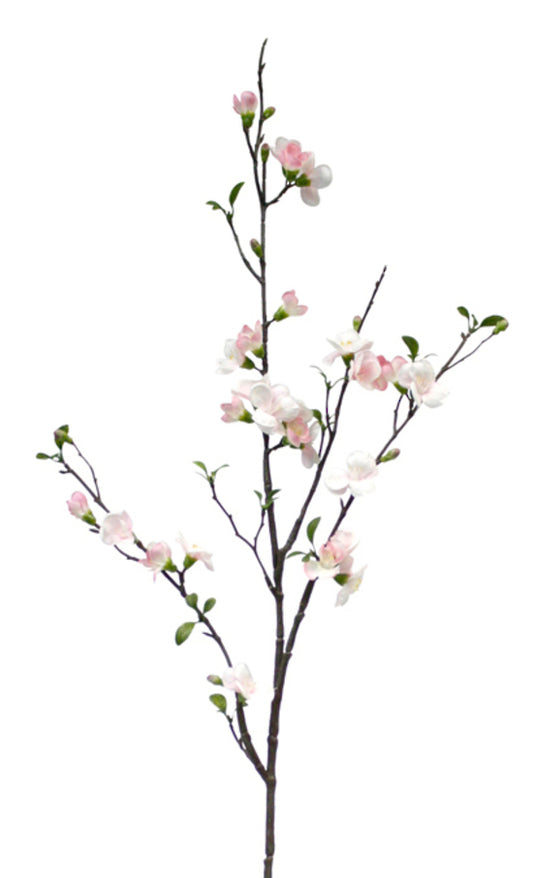 APPLE BLOSSOM SPRAY - PINK