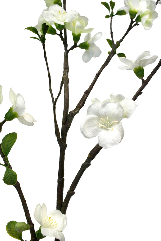 APPLE BLOSSOM SPRAY - WHITE