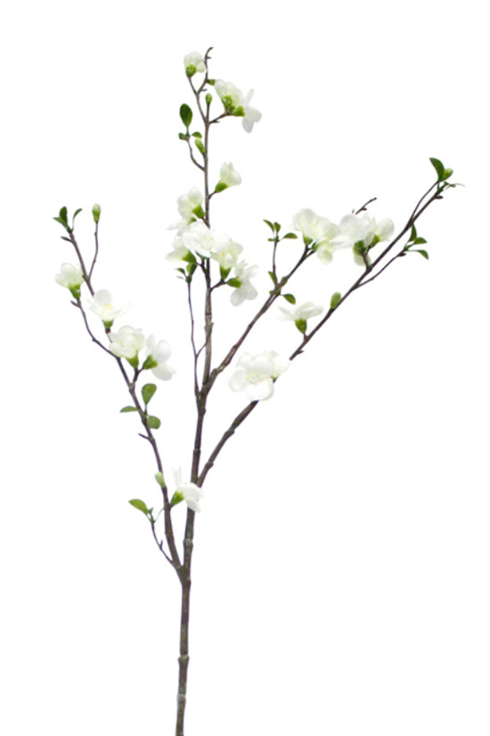 APPLE BLOSSOM SPRAY - WHITE