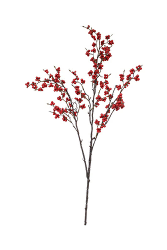 BERRY BRANCH - RED