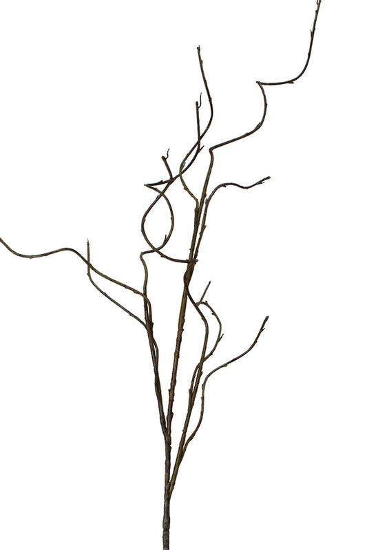 CURLY WILLOW BRANCH - BROWN