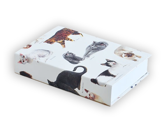 CATS JOTTER PAD