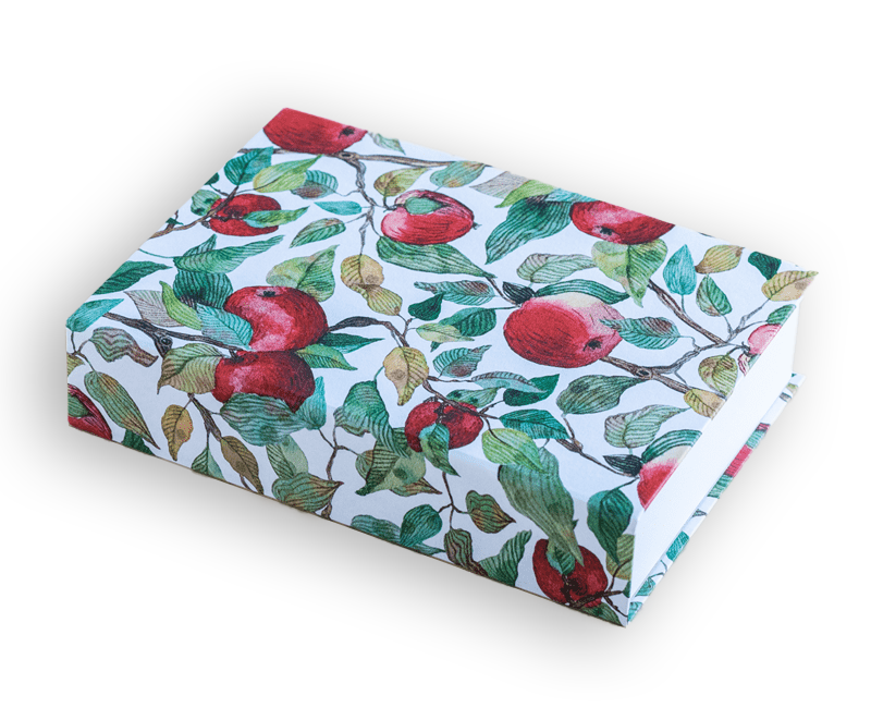 APPLES JOTTER PAD