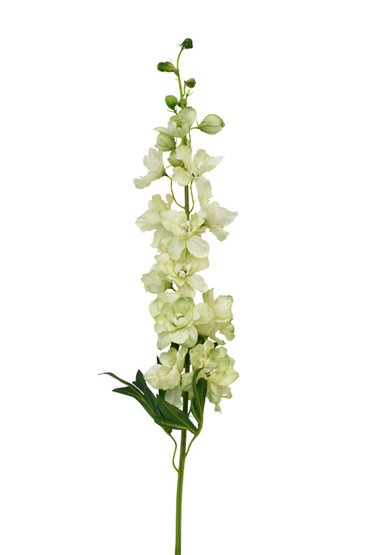 DELPHINIUM SPRAY - GREEN