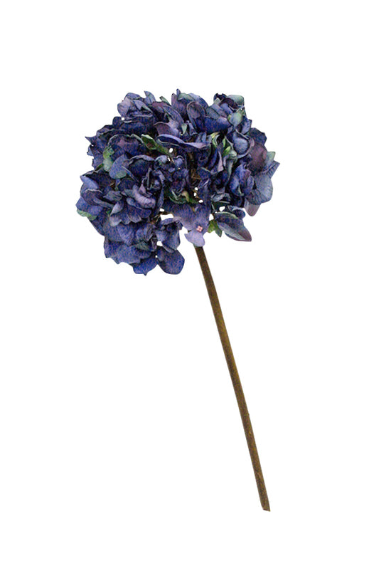 DRIED LOOK HYDRANGEA - BLUE