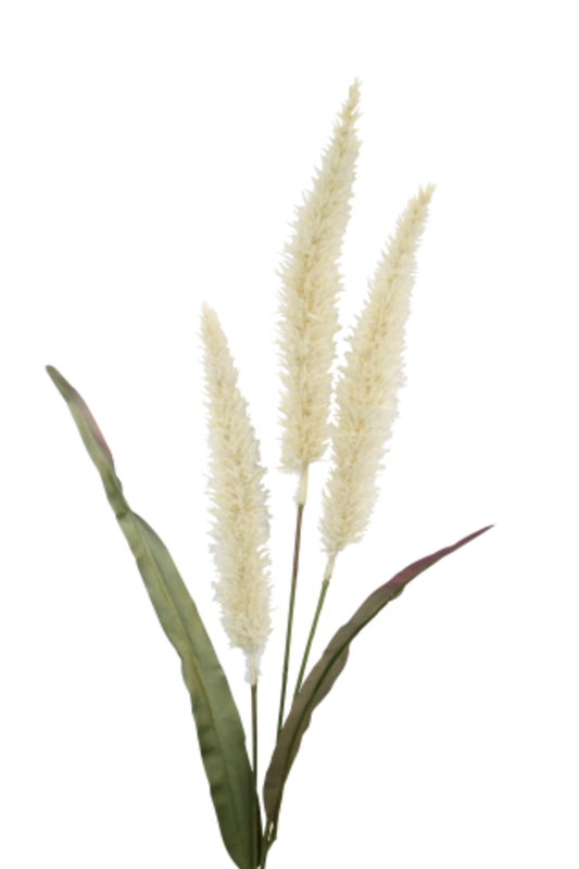 FOUNTAIN GRASS - CREAM