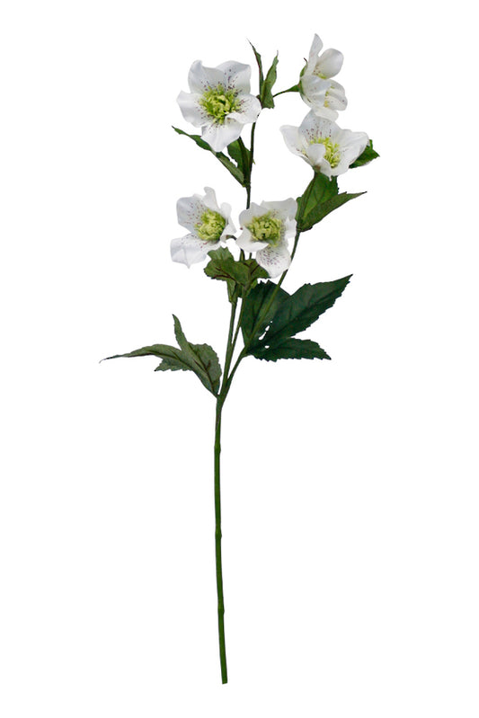 HELLEBORE SPRAY - WHITE