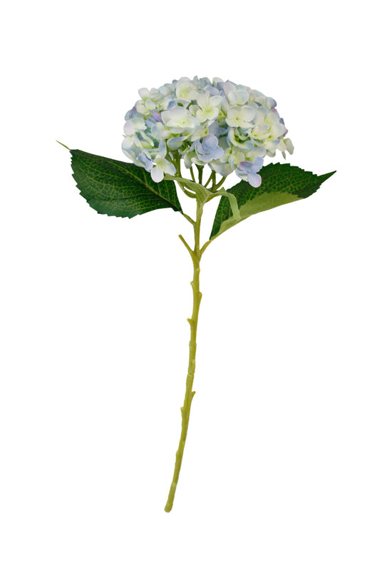 HYDRANGEA SHORT STEM - BLUE