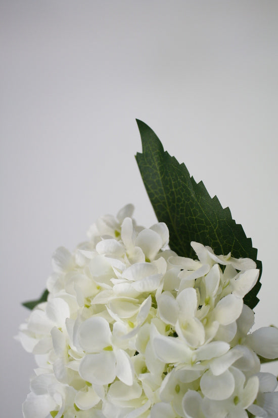 HYDRANGEA SHORT STEM - WHITE