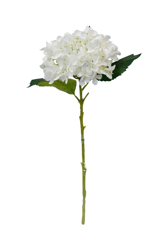 HYDRANGEA SHORT STEM - WHITE