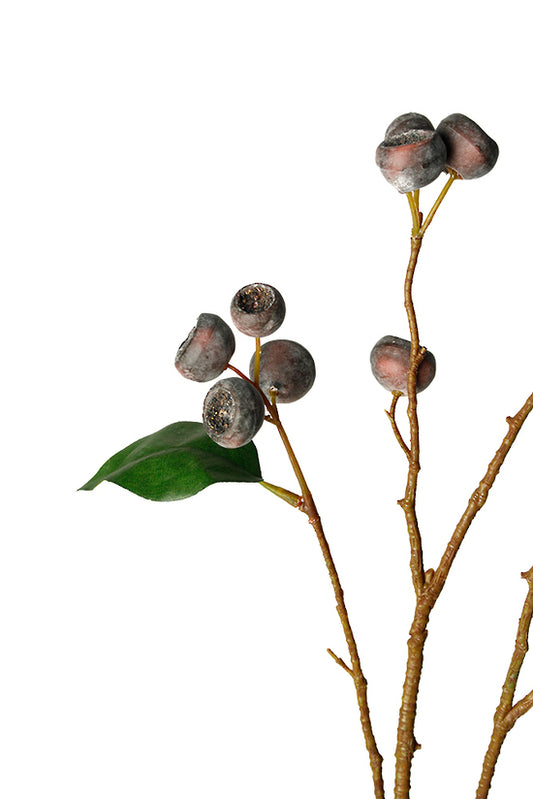 MEDLAR BRANCH - BROWN