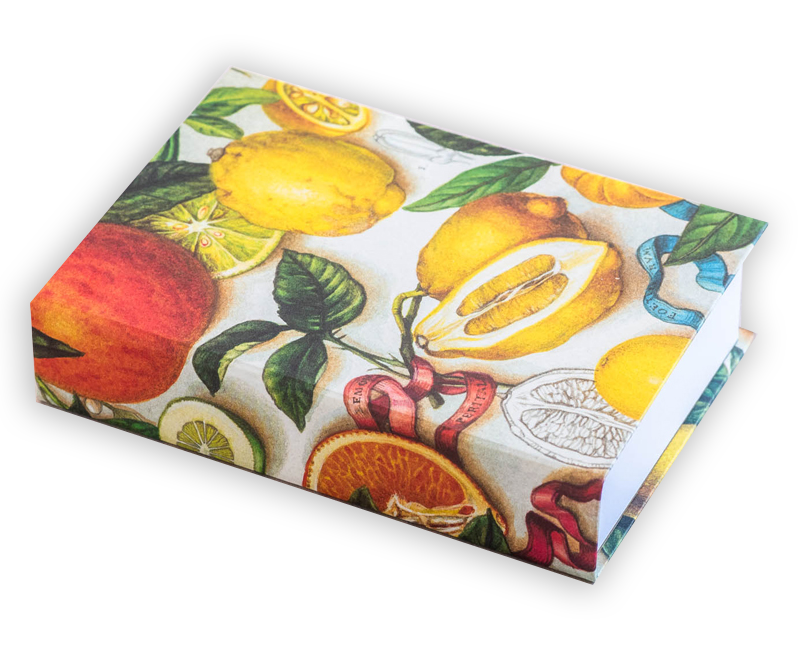 ORANGES & LEMONS JOTTER PAD