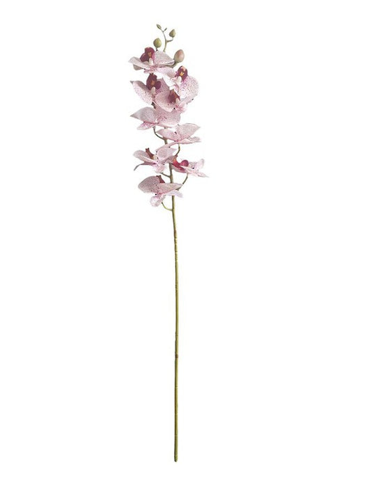 REAL TOUCH MOTH ORCHID - PINK / WHITE SPOT