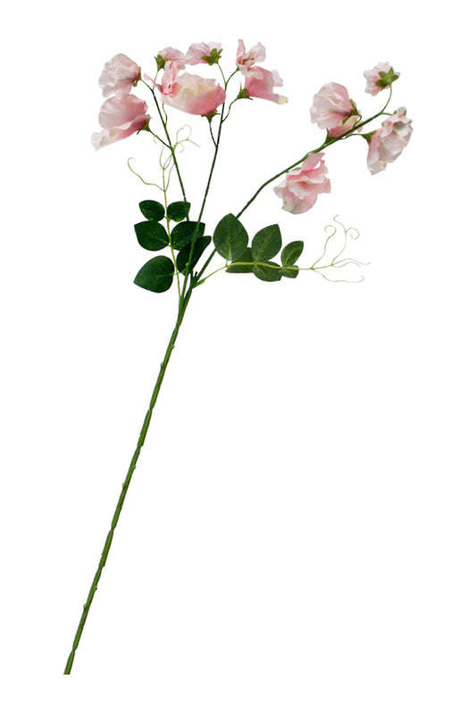 SWEETPEA SPRAY - PINK