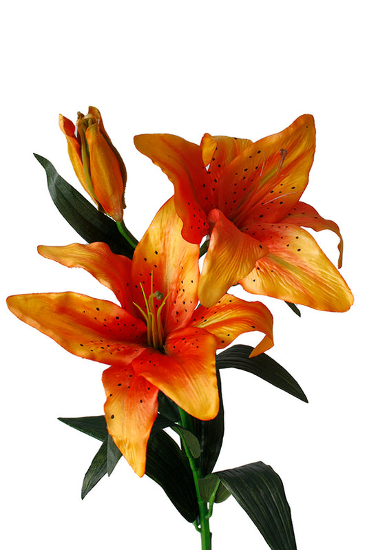 TIGER LILY - ORANGE