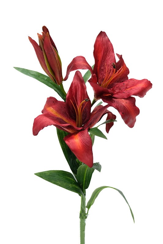 TIGER LILY - RED