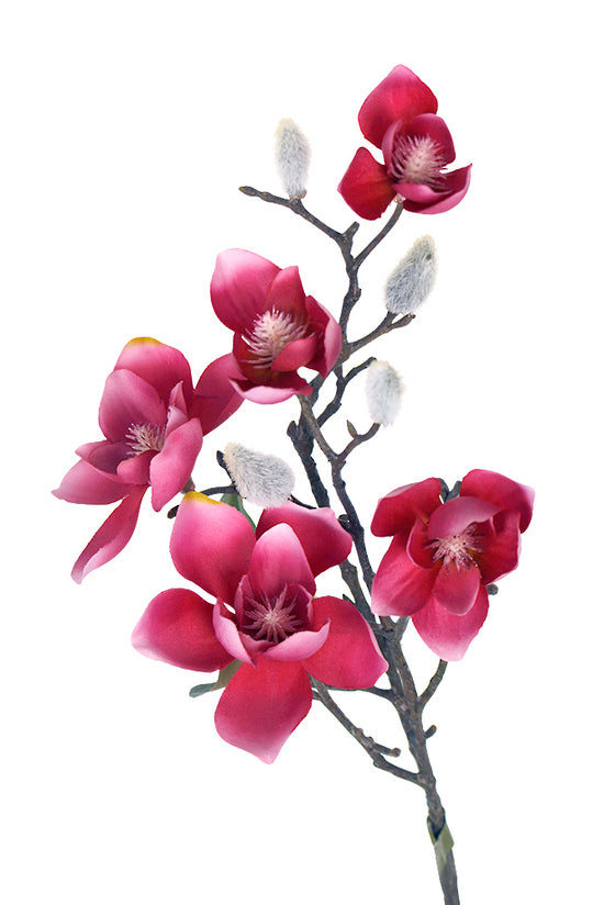 WILD MAGNOLIA SPRAY - PINK